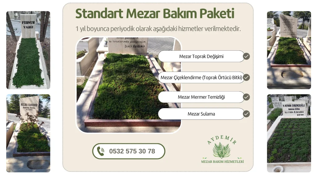 Standart Mezar Bakım Paketi