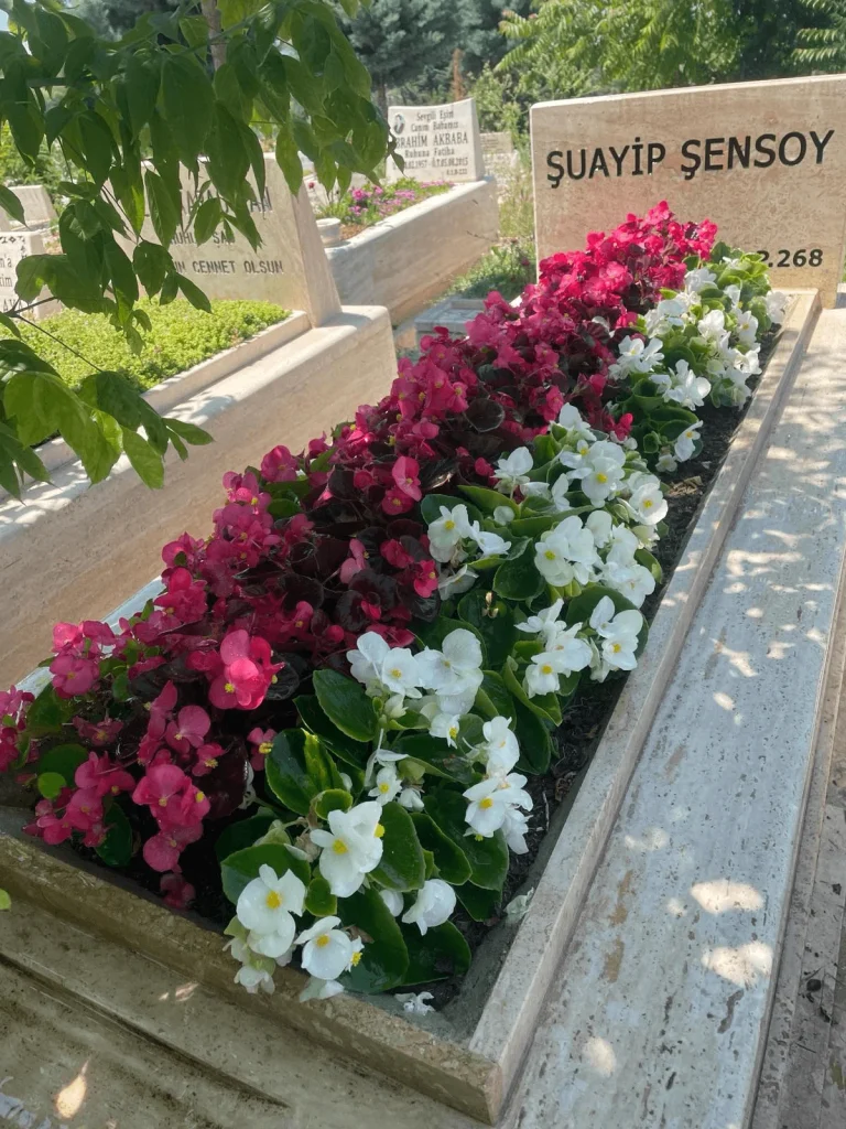 Mezar Ağaç Dikimi